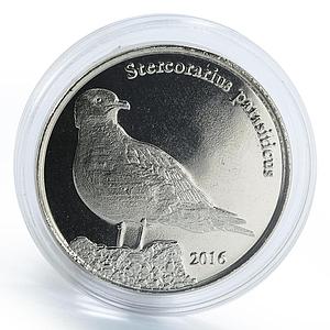 Shetland Islands 1 pound Stercorarius Parasiticus Arctic Skua Bird Fauna 2016