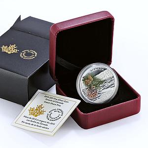 Canada 20 dollars Flora Coast Shore Pine Cone colored proof silver coin 2015