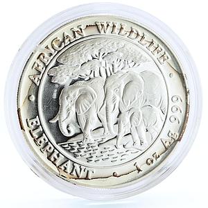 Somalia 100 shillings African Wildlife Elephants Animals Fauna silver coin 2013