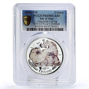 Isle of Man 1 crown Home Pets Chinchilla Cat Animals PR69 PCGS silver coin 2009