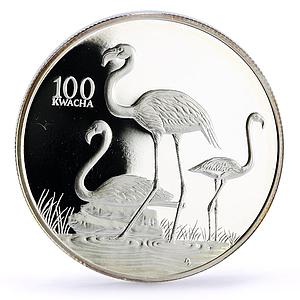 Zambia 100 kwacha Conservation Wildlife Flamingo Bird Fauna silver coin 1998