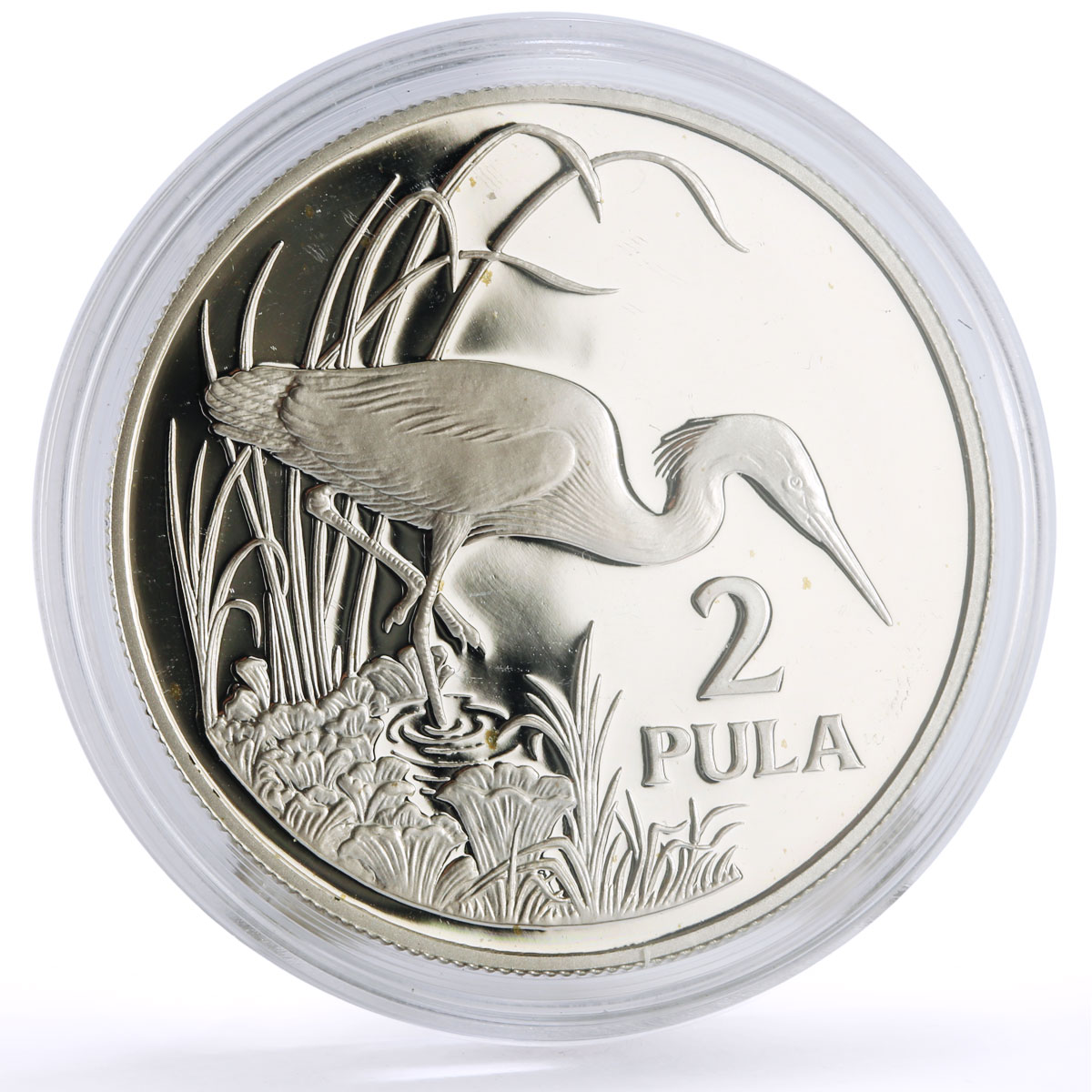 Botswana 2 pula Conservation Wildlife Slaty Egret Bird Fauna silver coin 1986