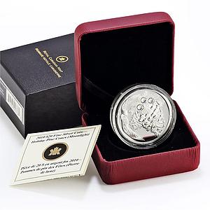 Canada 20 dollars Christmas Holiday Pine Cones Moonlight proof silver coin 2010