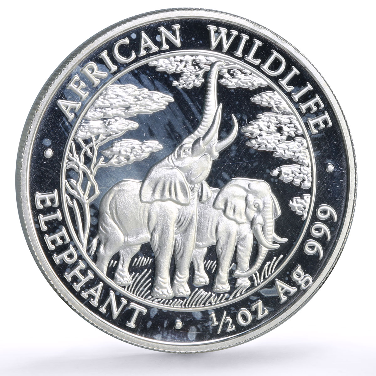 Zambia 2000 kwacha African Wildlife Elephants Fauna proof silver coin 2003