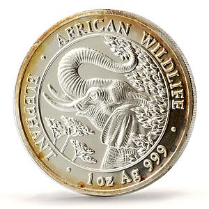 Somalia 1000 shillings African Wildlife Elephant Fauna silver coin 2005