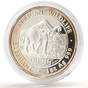Somalia 1000 shillings African Wildlife Elephant Fauna silver coin 2006