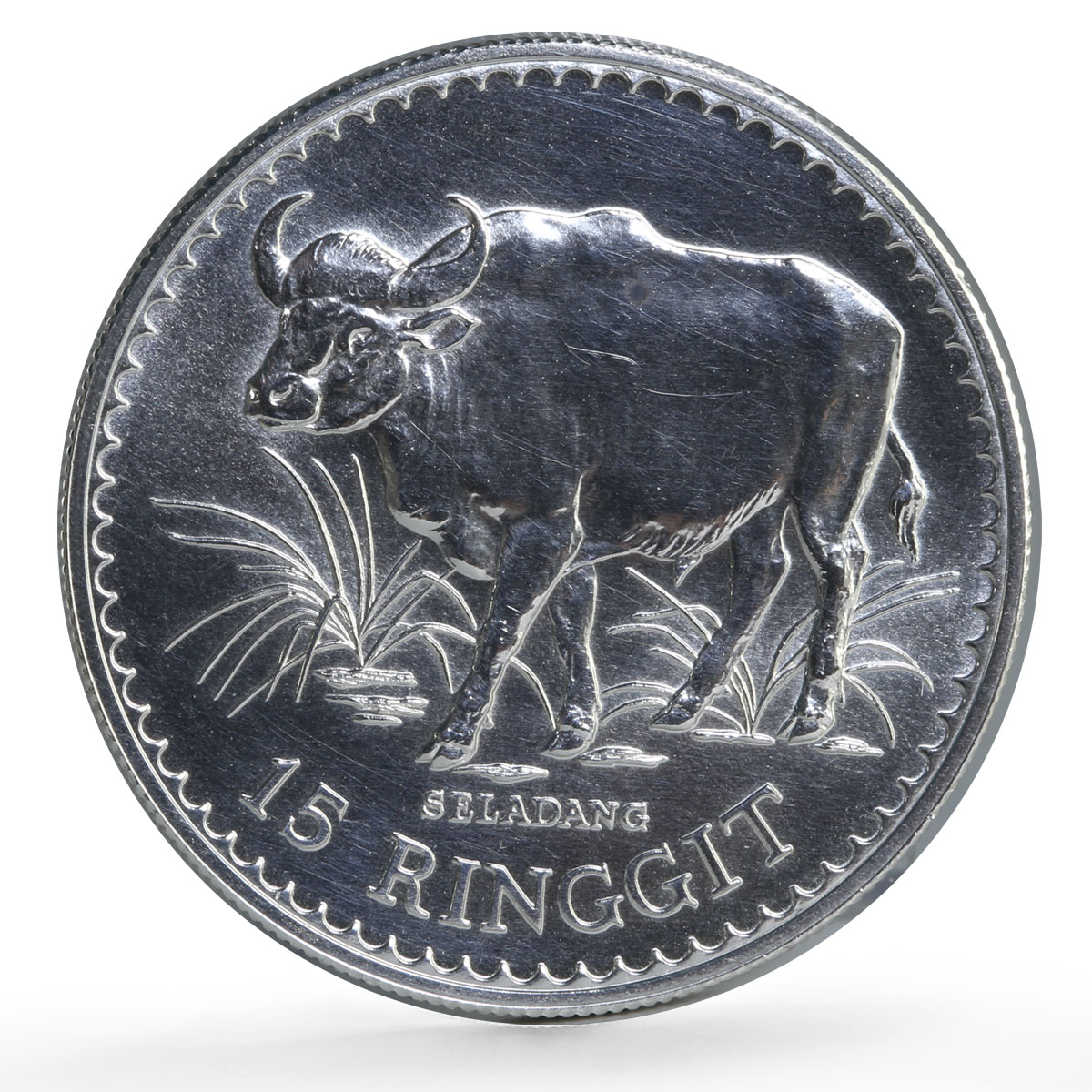 Malaysia 15 ringgit Conservation Wildlife Gaur Bull Fauna silver coin 1976