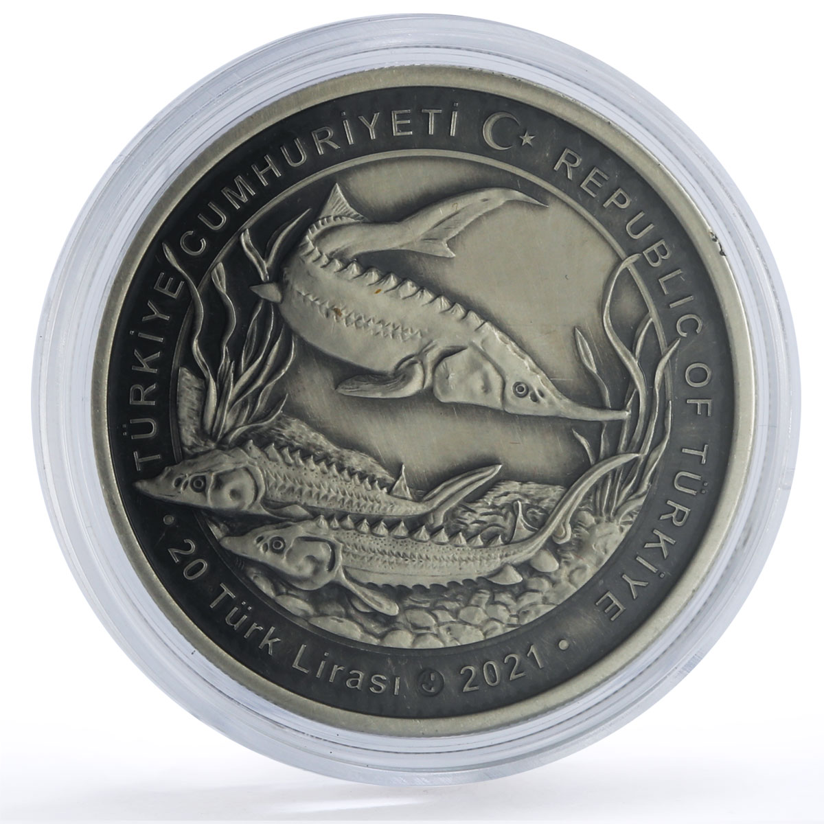 Turkiye 20 lira Conservation Wildlife Sturgeon Fish Fauna silver coin 2021