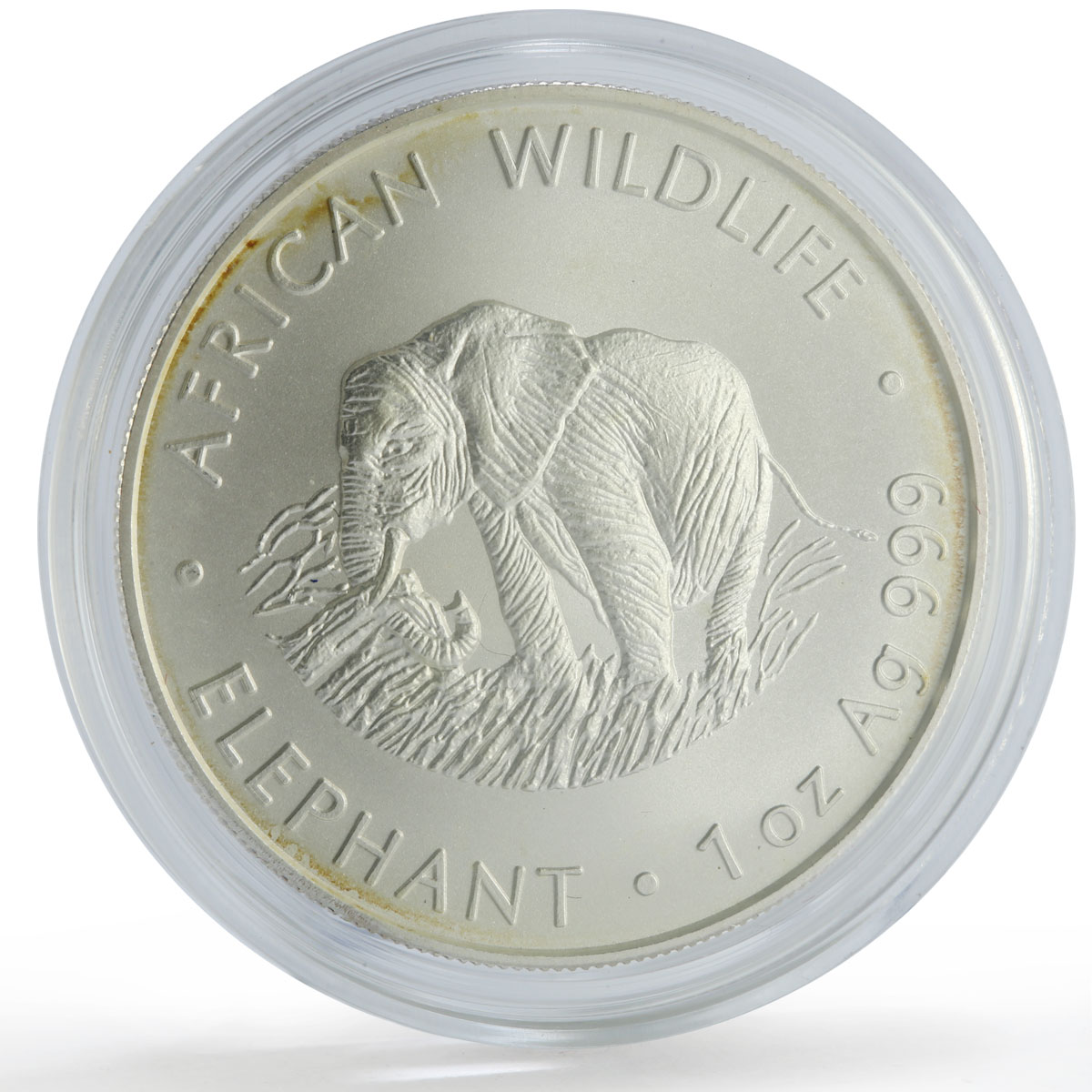 Zambia 5000 kwacha African Wildlife Elephant Fauna Matte silver coin 2000