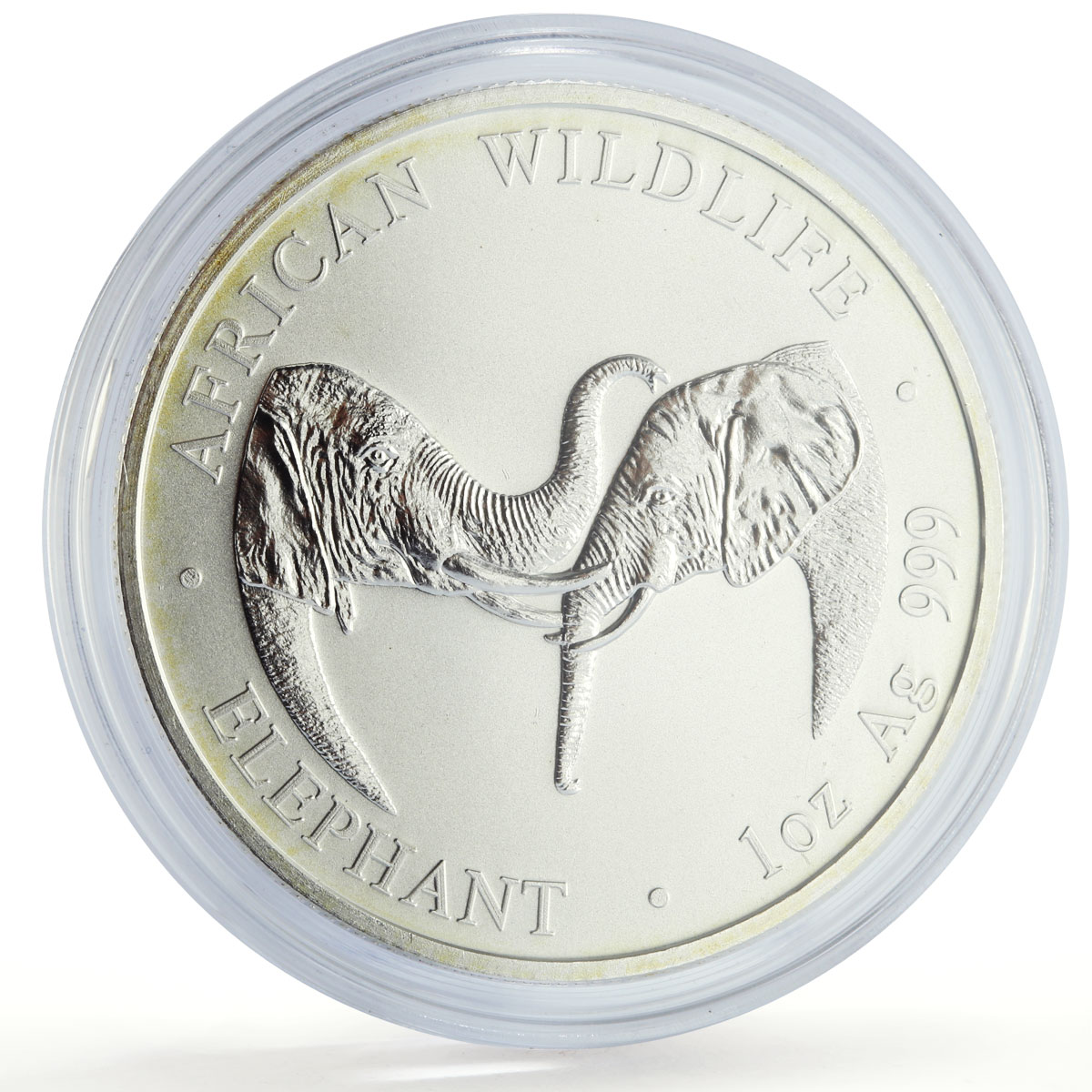 Zambia 5000 kwacha African Wildlife Elephant Fauna Matte silver coin 2002