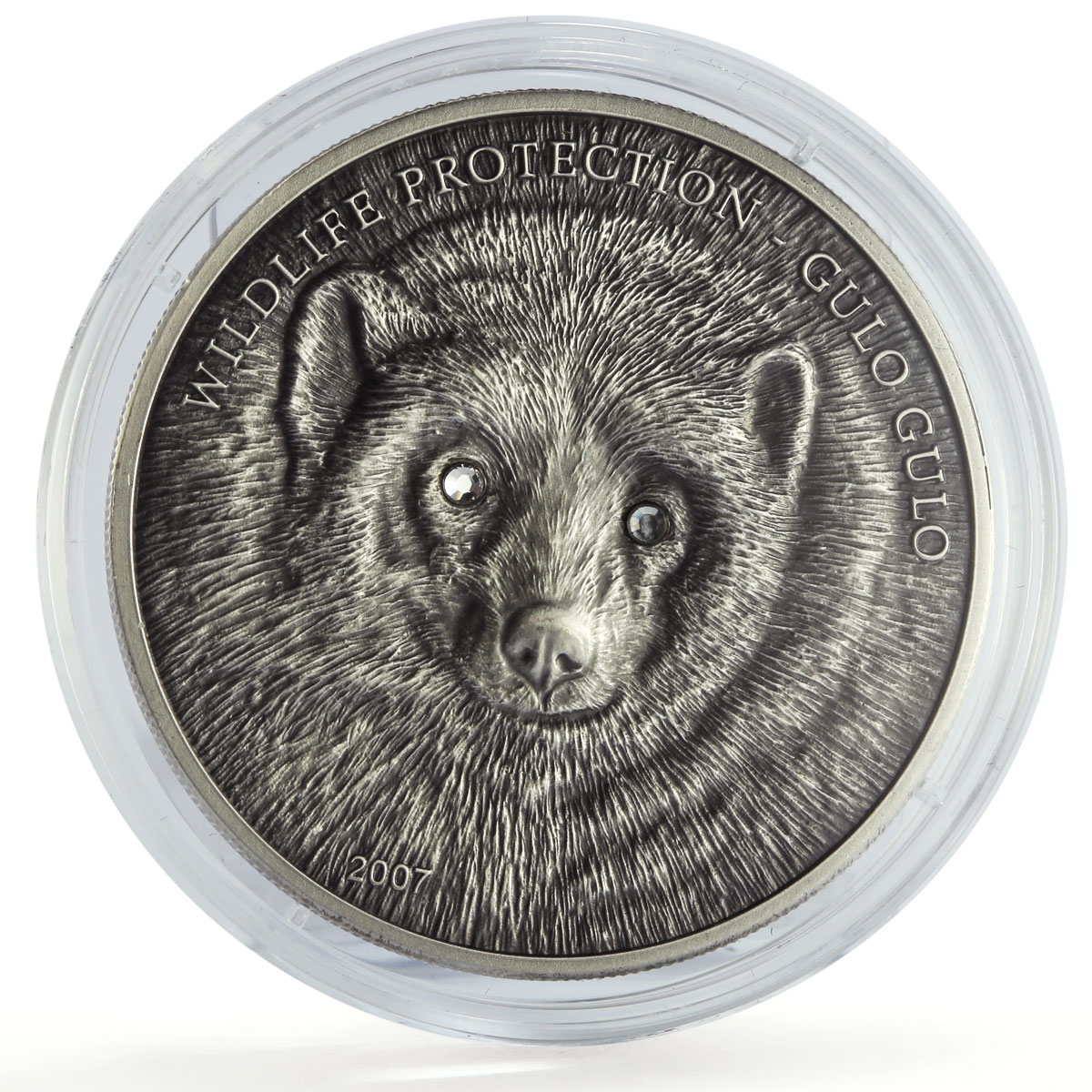 Mongolia 500 togrog Wildlife Protection Gulo Gulo Wolverine silver coin 2007