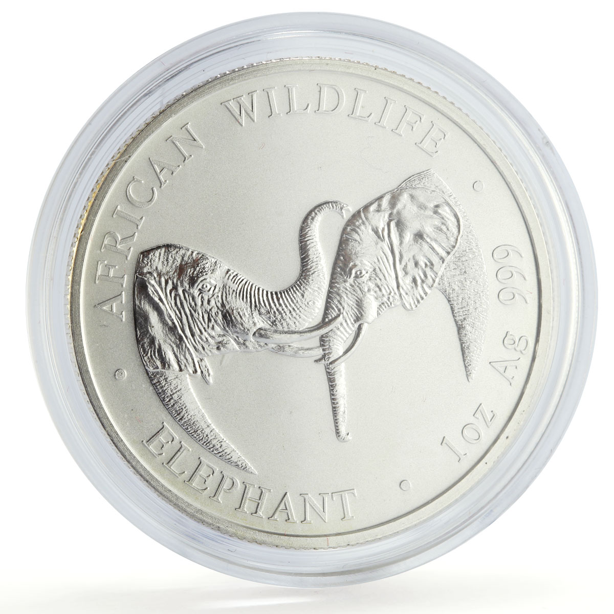 Zambia 5000 kwacha African Wildlife Elephant Fauna Matte silver coin 2002