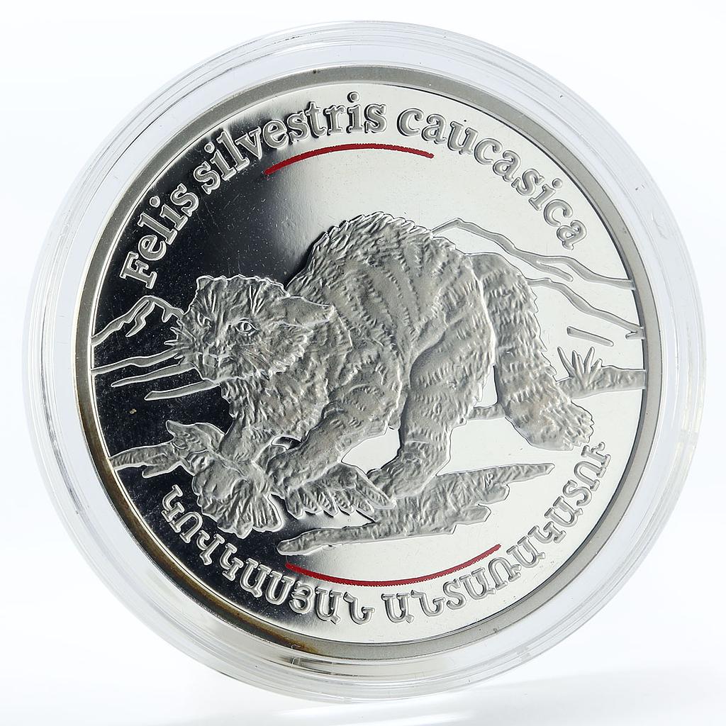 Armenia 100 dram Red Book Caucasian Forest Cat Fauna silver coin 2006