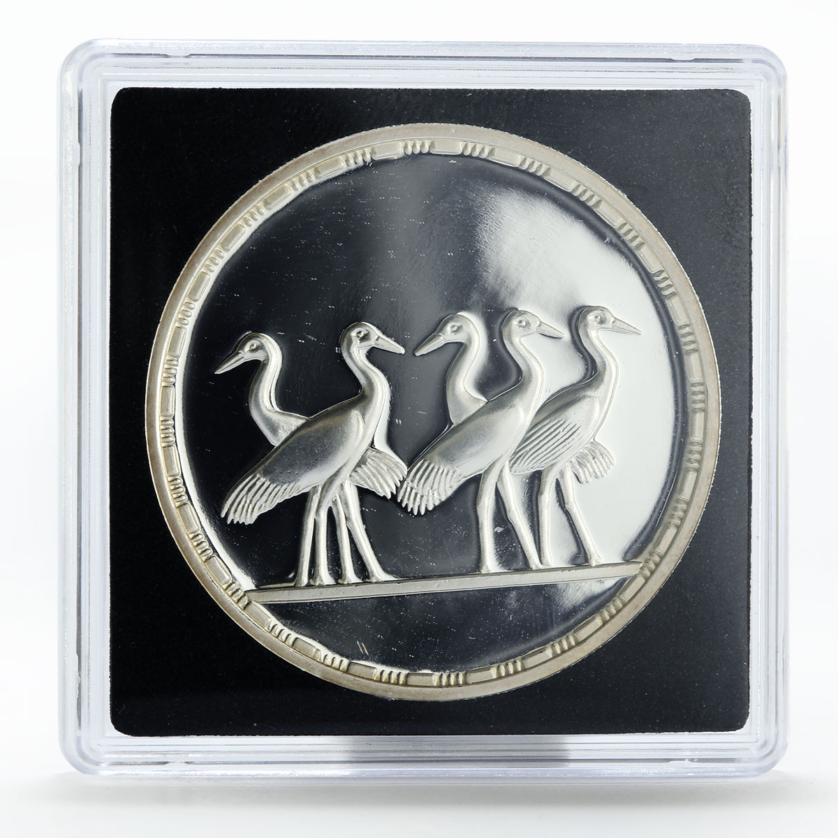 Egypt 5 pounds Five birds proof silver coin 1994 | Coinsberg