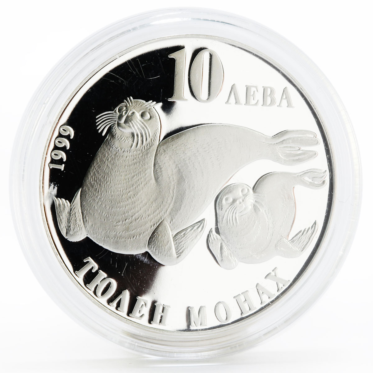 Bulgaria 10 leva Endangered Wild Animals series Monk Seal proof silver coin 1999