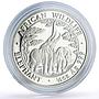 Zambia 2000 kwacha African Wildlife Elephants Fauna proof silver coin 2003