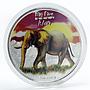 Congo set 5 coins Big Five African Animals colored silver coins 2008